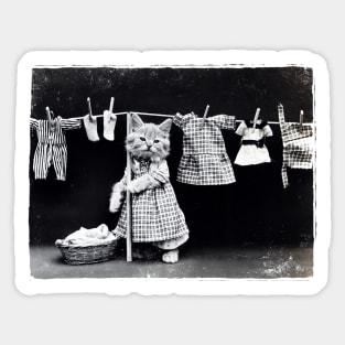 Vintage Black and White Kitty Laundry Photo Sticker